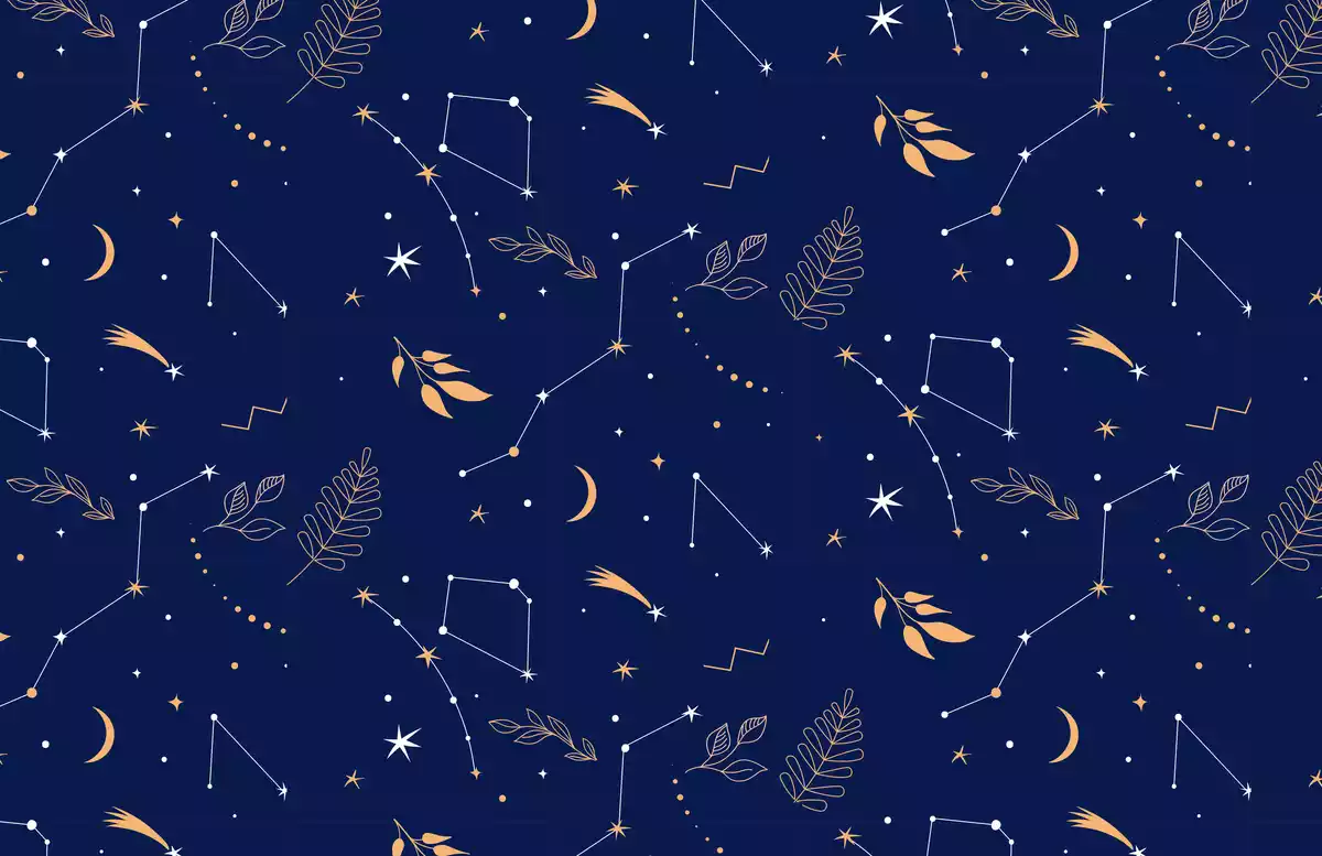Constelaciones en el cielo entre hojas