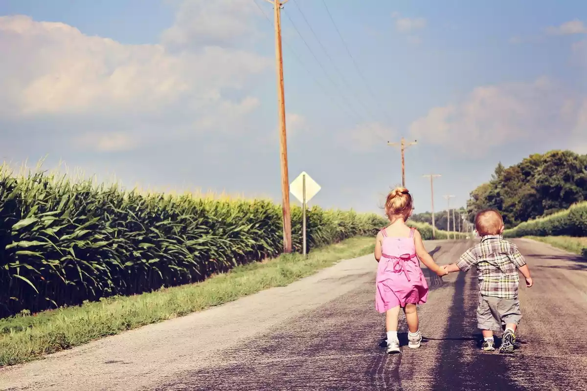 Imagen de dos niños de la mano y caminando solos por una carretera