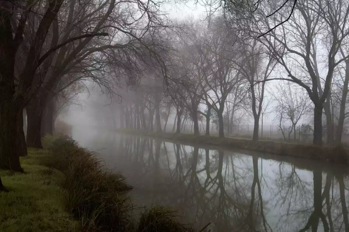 Imagen de un día de niebla en Palencia