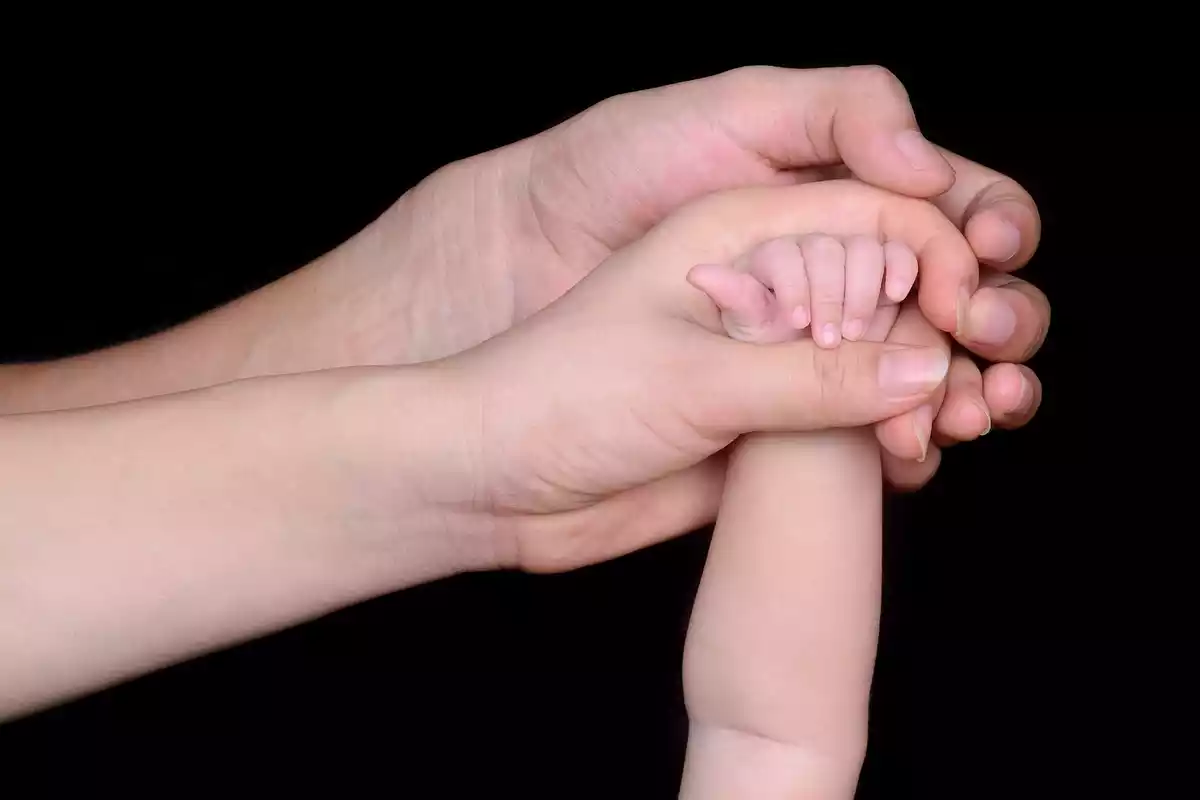 Imagen de unas manos de una familia unidas